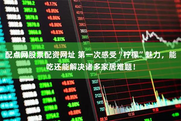 配点网股票配资网址 第一次感受“柠檬”魅力，能吃还能解决诸多家居难题！